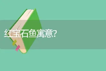 红宝石鱼寓意？