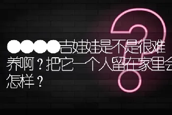 ●●●●吉娃娃是不是很难养啊？把它一个人留在家里会怎样？