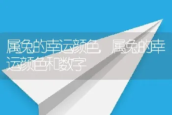 属兔的幸运颜色，属兔的幸运颜色和数字