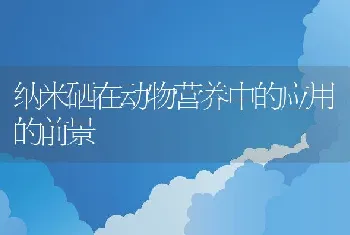 纳米硒在动物营养中的应用的前景