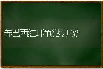 养巴西红耳龟犯法吗？