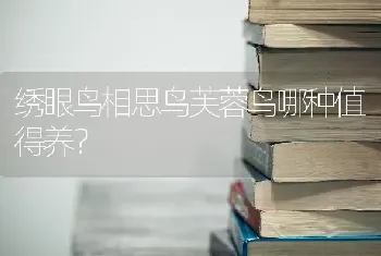 爱斯基摩犬取什么名字好听？