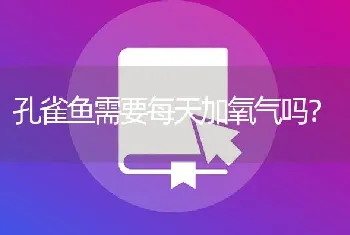 孔雀鱼需要每天加氧气吗？