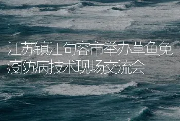 江苏镇江句容市举办草鱼免疫防病技术现场交流会