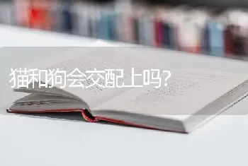 博美几个月算成年了？