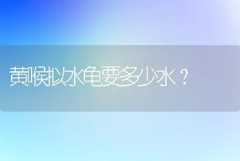 黄喉拟水龟要多少水？