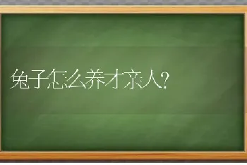 求助啊我家猫猫眼睛有点流白色的脓有点睁不开了该如何用药？