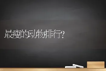 最瘦的动物排行？