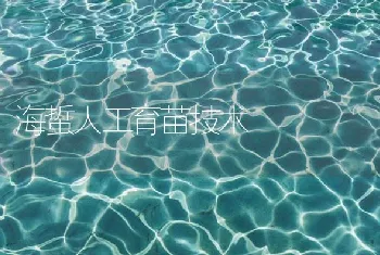 海蜇人工育苗技术