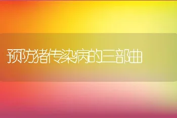 预防猪传染病的三部曲