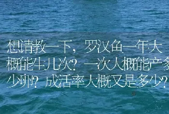 想请教一下，罗汉鱼一年大概能生几次？一次大概能产多少卵？成活率大概又是多少？