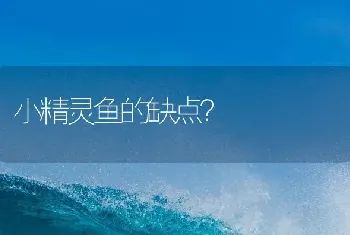 小精灵鱼的缺点？