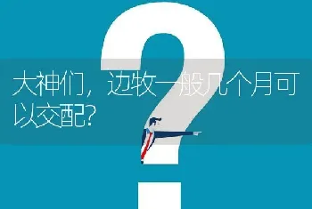 狗狗咳嗽的厉害还吐黄水，请求帮助，急？