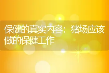 保健的真实内容：猪场应该做的保健工作