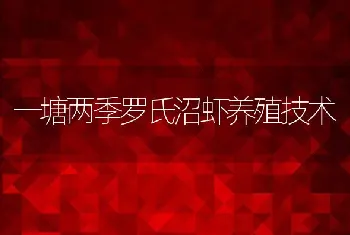 一塘两季罗氏沼虾养殖技术