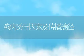 兔用颗粒饲料的简易制作