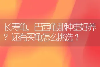 长寿龟，巴西龟那种更好养?还有买龟怎么挑选？