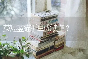 短毛猫哪个品种好些，不要太贵，要好养的，不娇气的？