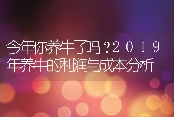 今年你养牛了吗？2019年养牛的利润与成本分析