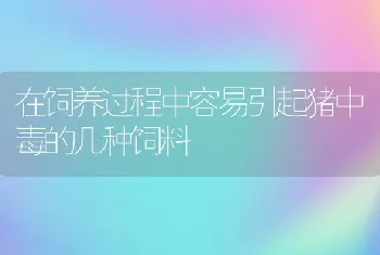 在饲养过程中容易引起猪中毒的几种饲料