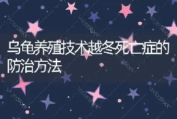 乌龟养殖技术越冬死亡症的防治方法