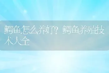 鳄鱼怎么养好？鳄鱼养殖技术大全