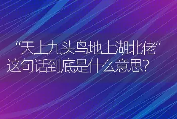 “天上九头鸟地上湖北佬”这句话到底是什么意思？