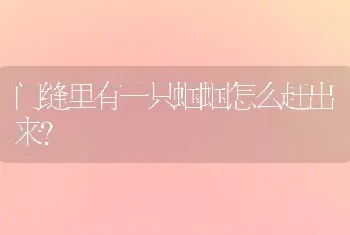 门缝里有一只蝈蝈怎么赶出来？