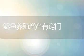 鲶鱼养殖增产有窍门