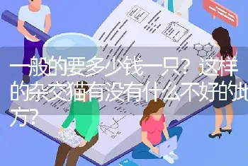 一般的要多少钱一只？这样的杂交猫有没有什么不好的地方？