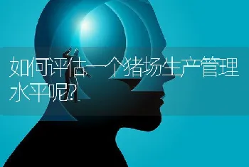 如何评估一个猪场生产管理水平呢？