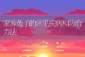 家养兔子的常见疾病和防治方法