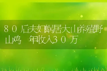 80后夫妇蜗居大山养殖野山鸡 年收入30万