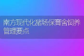 几种常用鸡饲料的混合比例