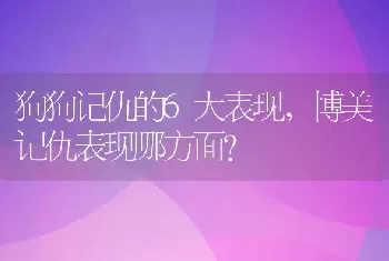 狗狗记仇的6大表现，博美记仇表现哪方面？