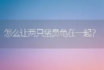 法国斗牛犬饲养最好温度是多少？