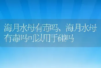 海月水母有毒吗，海月水母有毒吗可以用手碰吗