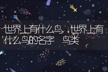 世界上有什么鸟，世界上有什么鸟的名字 鸟类