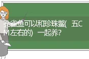 孔雀鱼可以和珍珠鳖(五CM左右的)一起养？