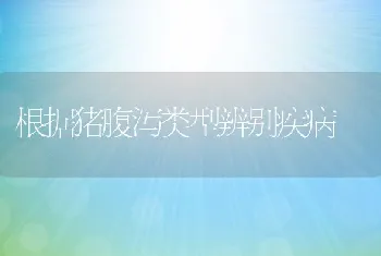 根据猪腹泻类型辨别疾病