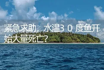 紧急求助，水温30度鱼开始大量死亡？