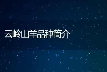 黄鳝饲料种类及喂养实例