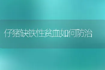 仔猪缺铁性贫血如何防治