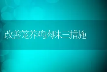 改善笼养鸡肉味三措施