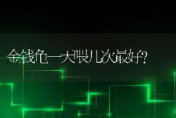 如何选一只合适的狗狗送给父母？