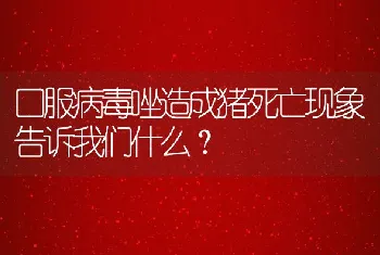 口服病毒唑造成猪死亡现象告诉我们什么？