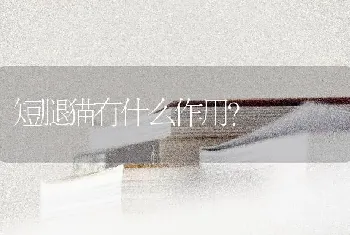 为什么养雪纳瑞的人越来越少？