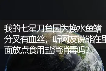 我的七星刀鱼因为换水鱼鳍分叉有血丝，听网友说能在里面放点食用盐消消毒吗？