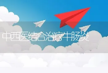 中西医结合治疗牛肠炎