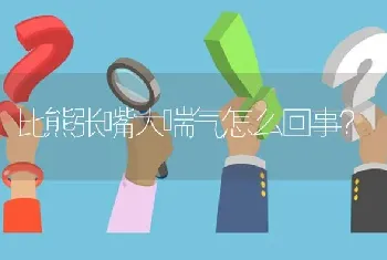 比熊张嘴大喘气怎么回事？